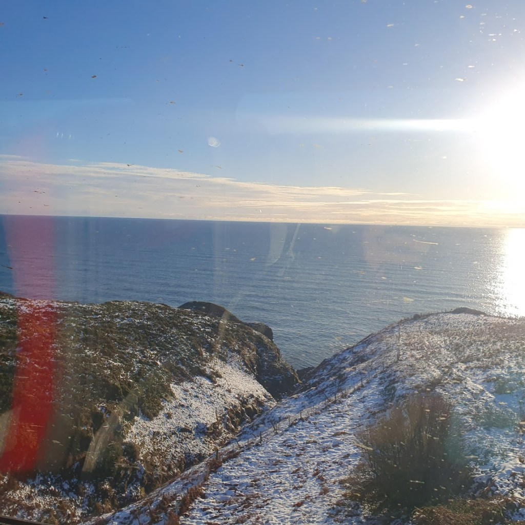 Snow, St Andrews, and&nbsp;foxes