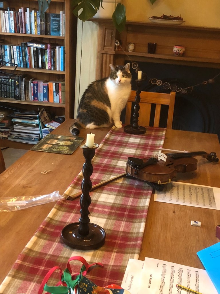 Victoria on the dining table watching
