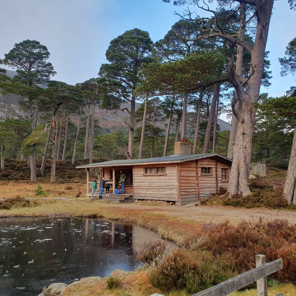 A timber cabin surrounded by tall trees and a lack to the front.