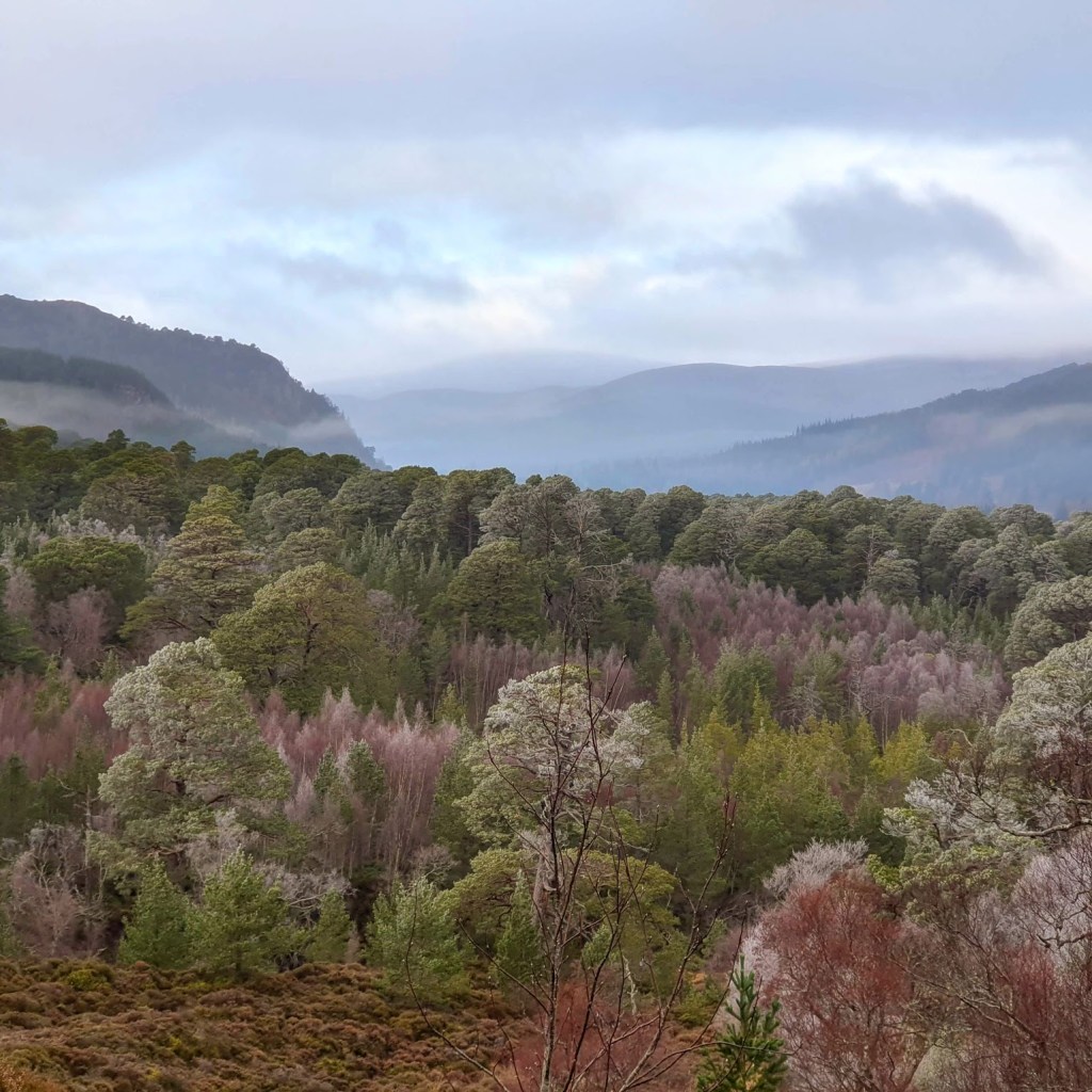 A landscape with red, orange, purple, blue and green hues. Misty hills in the background.
