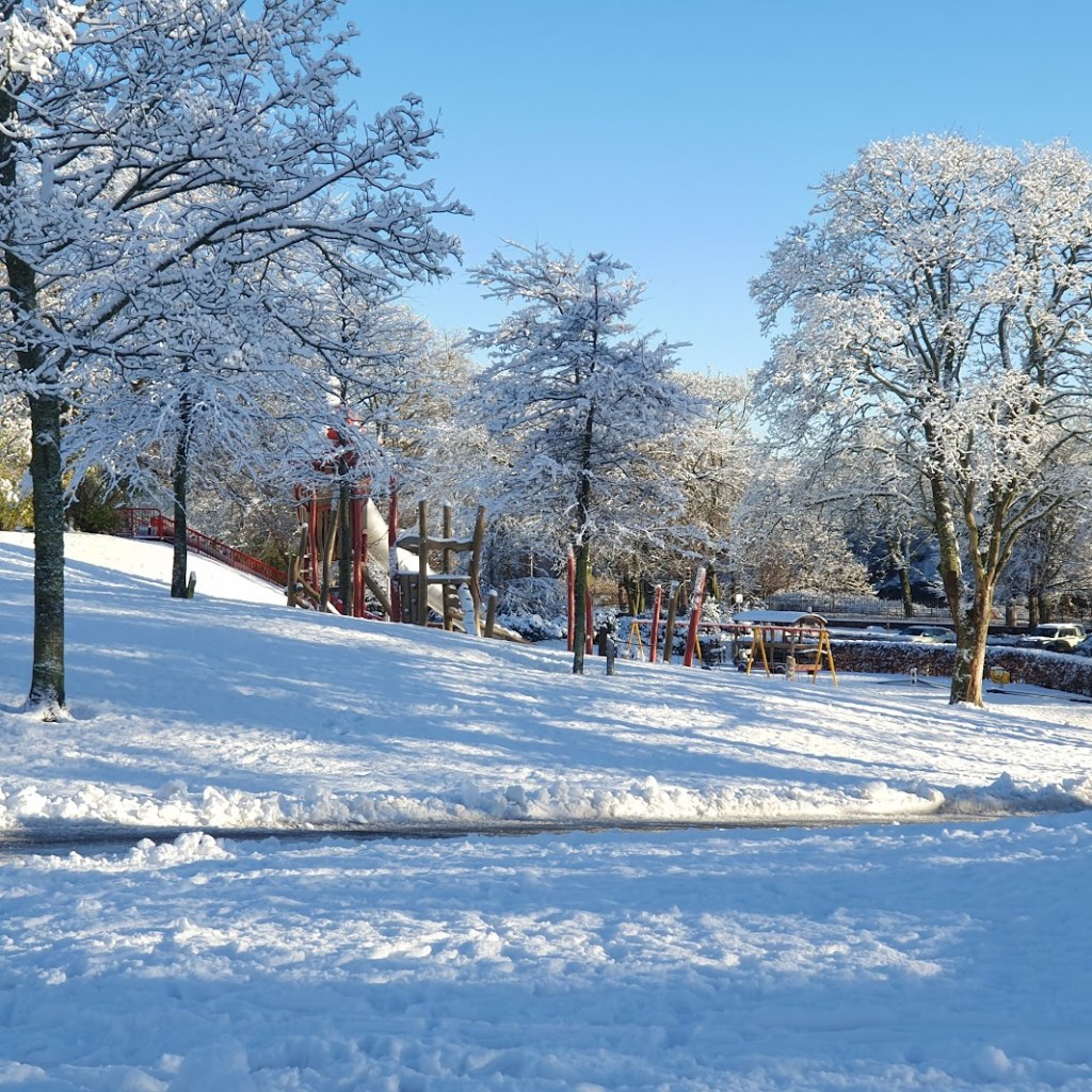 A playground in the snow surrounded by white trees.