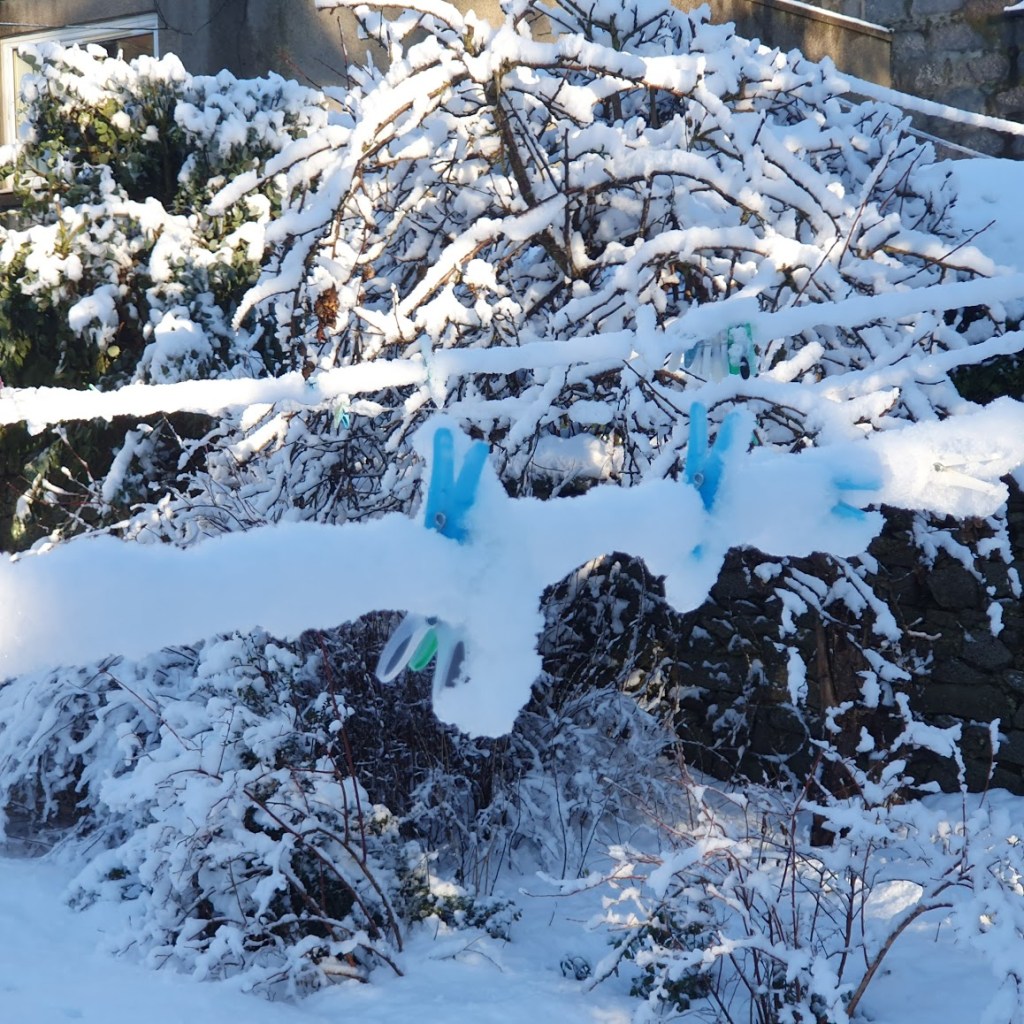 The washing line and pegs covered in ice.
