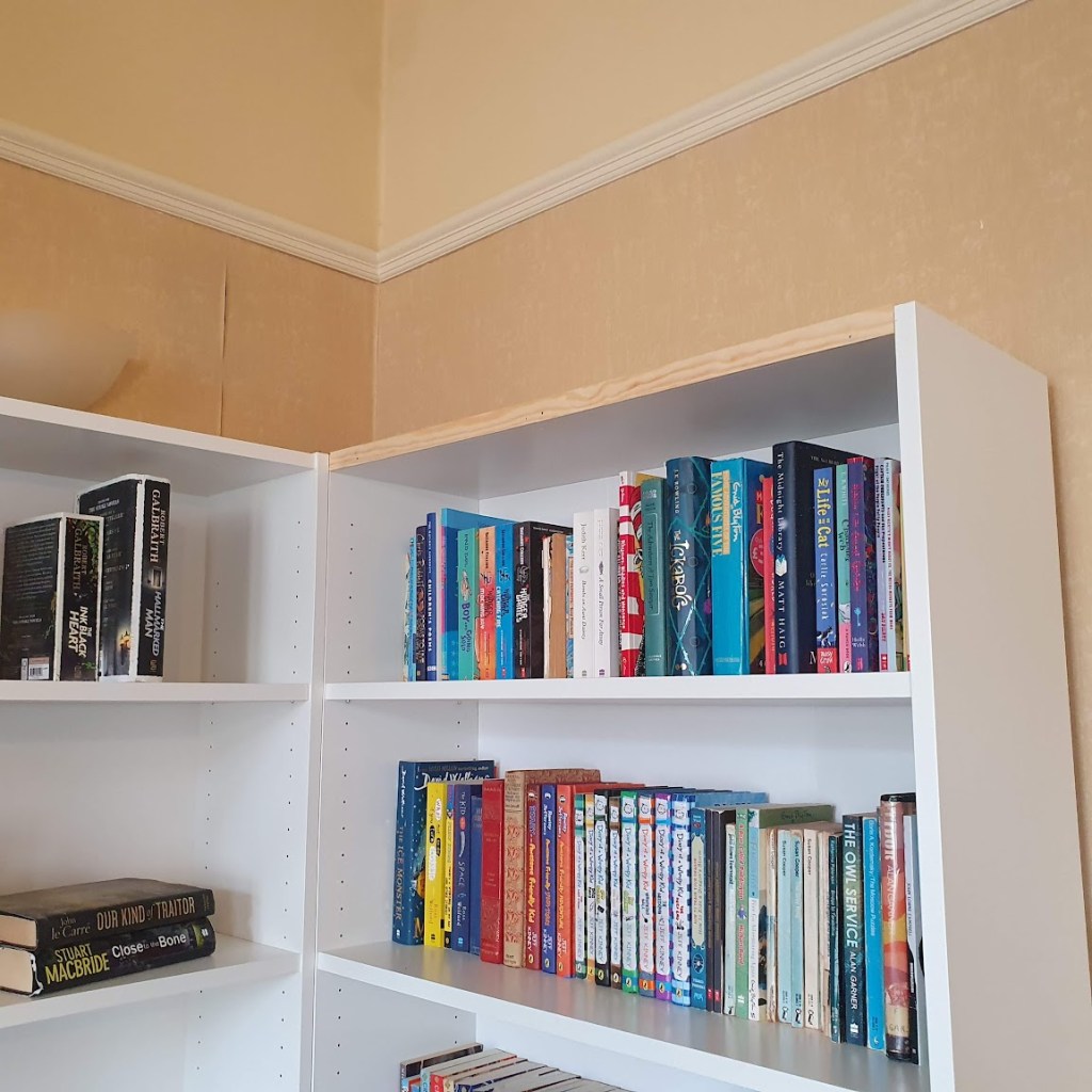 A strip of pine across the top of one of the bookcases