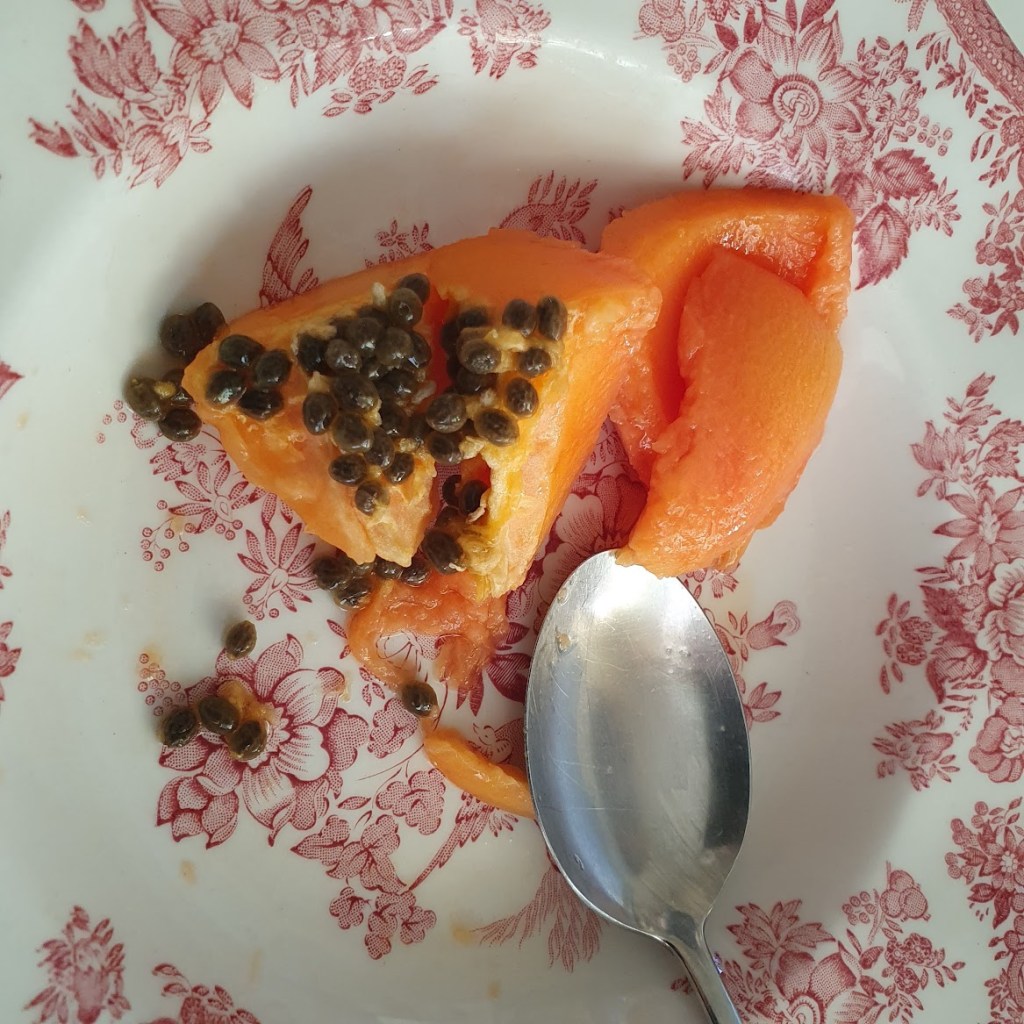 Papaya with seeds
