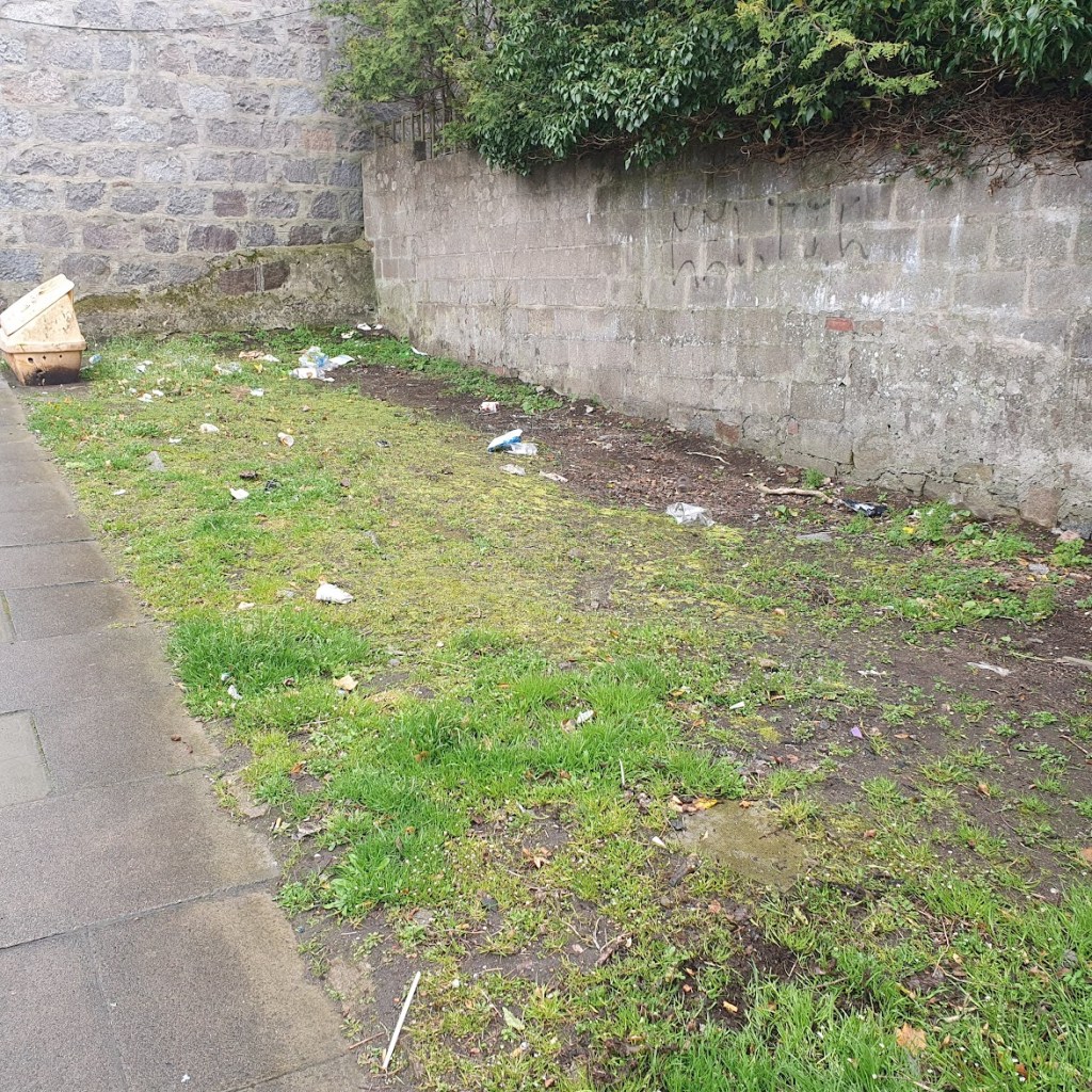 A grassy area with lots of litter