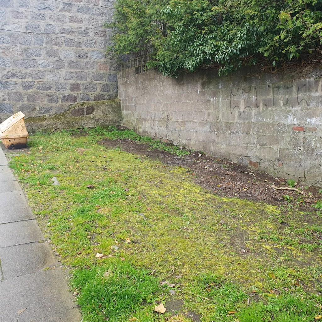 The same grassy area now litter-free