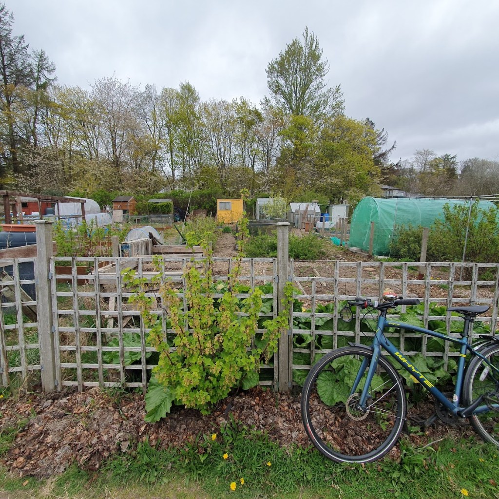The allotment with Ben's bike at the front.