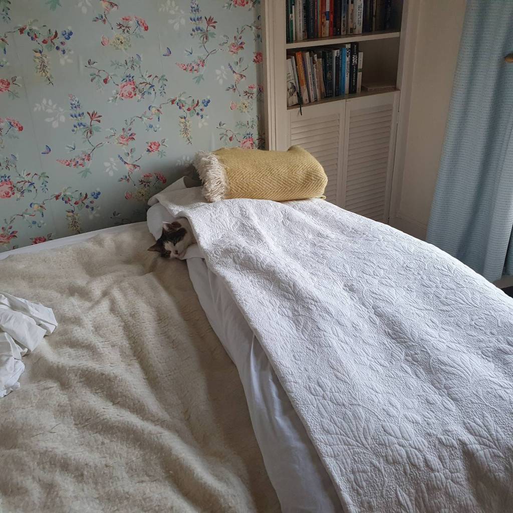 The cat under the covers on the bed