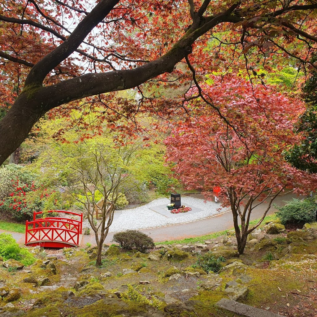 Johnston's Gardens with a red bridges at the bottom left and lots of trees.