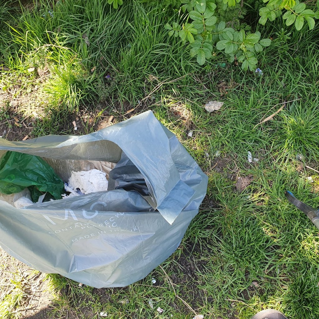 A bag of litter