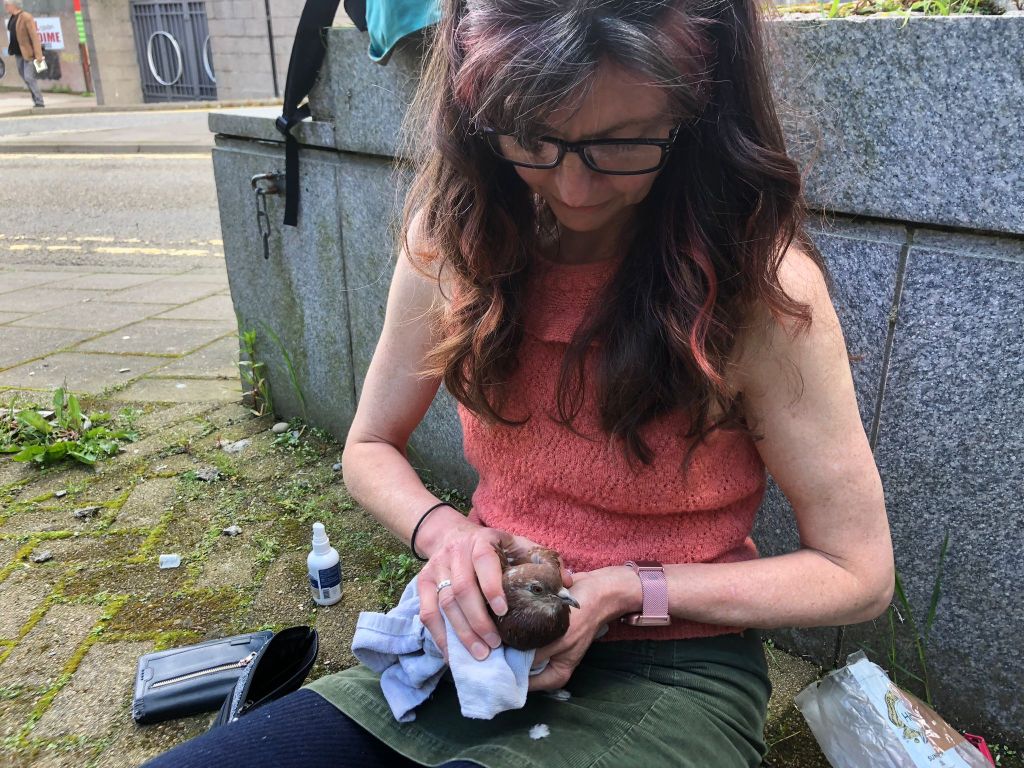 Me holding the bird in my lap