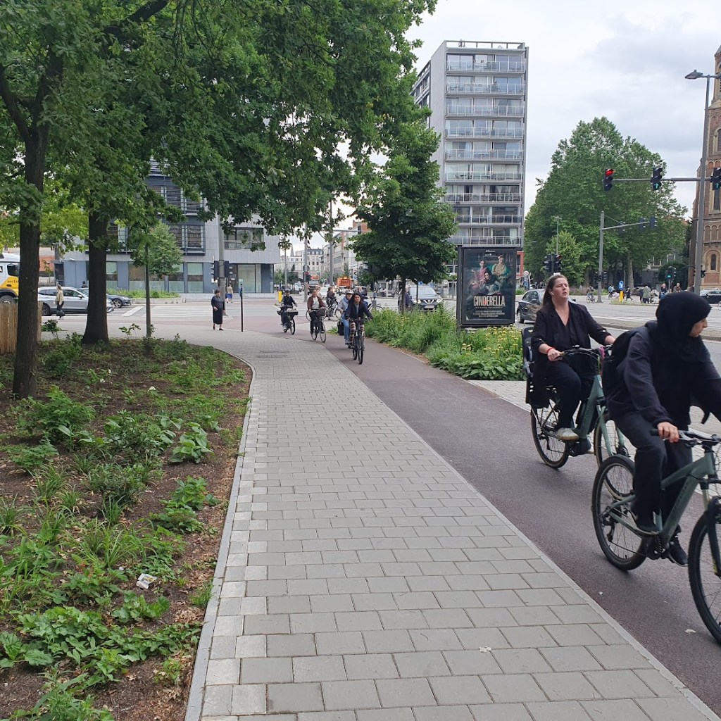 Lots of cyclists on the bike path and trees and vegetation next to the pavement