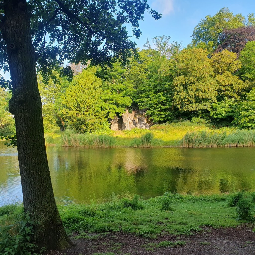 A lake with trees on either side