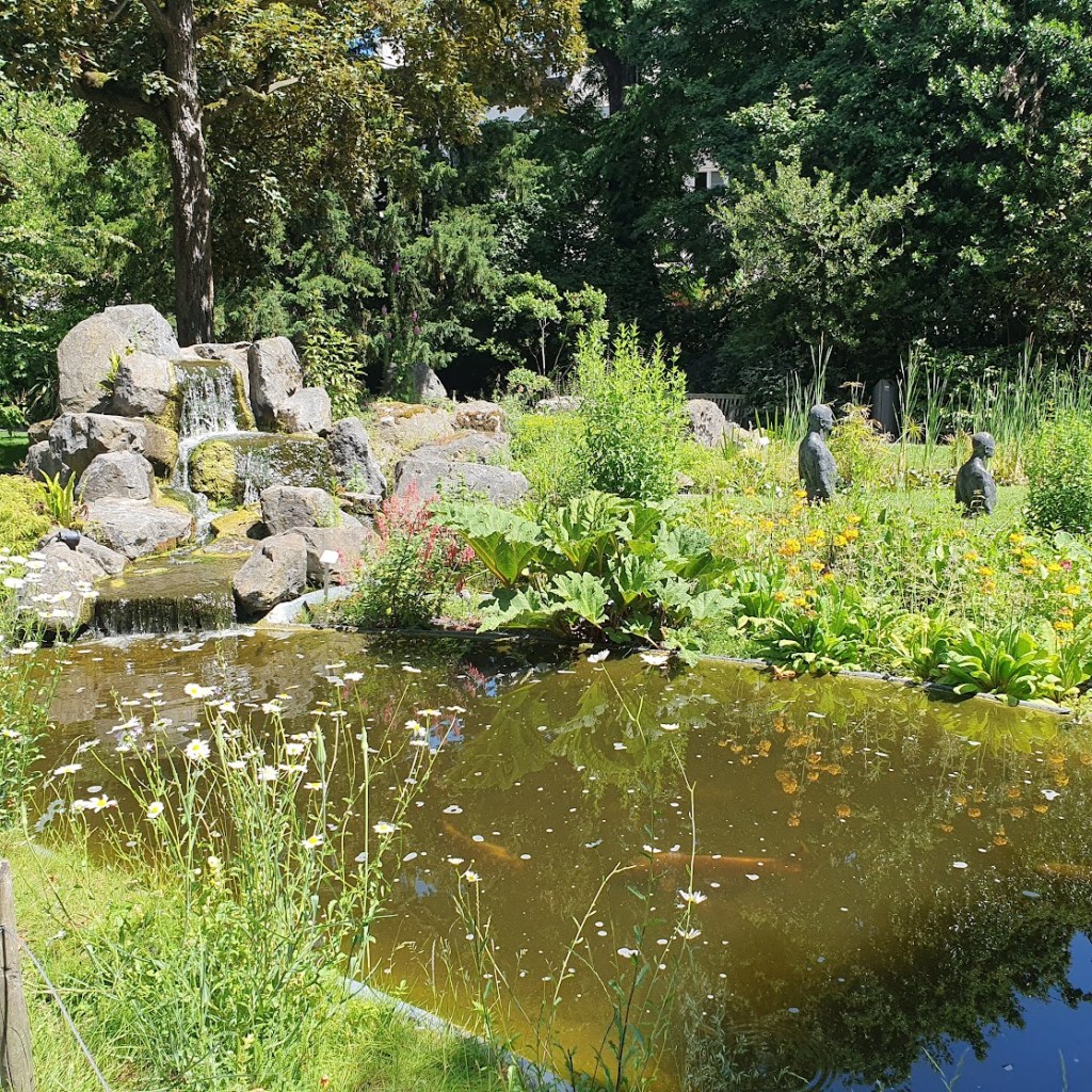 A pond at the botanic gardens