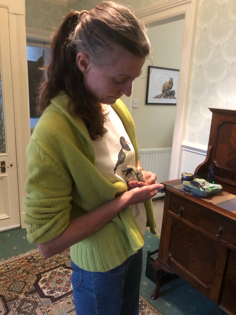 Me holding Mary. She fits in the palm of one hand has fluffy yellow down and a long grey beak.