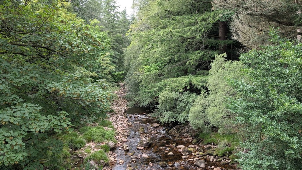 A stream at Glendye