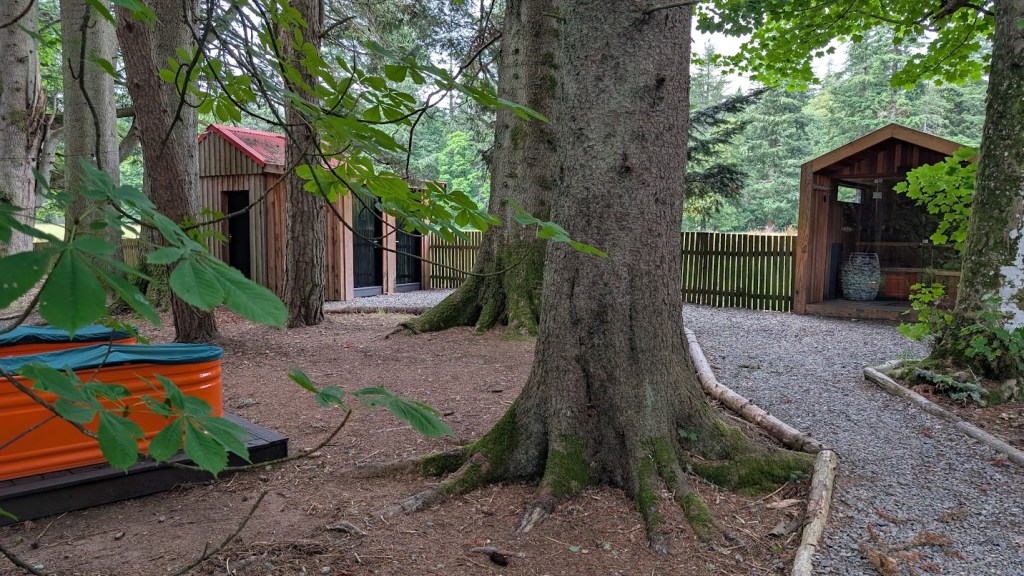 The woodland sauna with two plunge pools and toilet block.