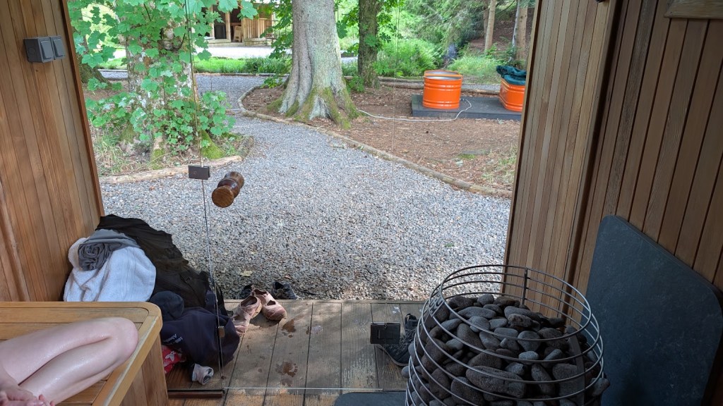 Looking out from the sauna at the forest