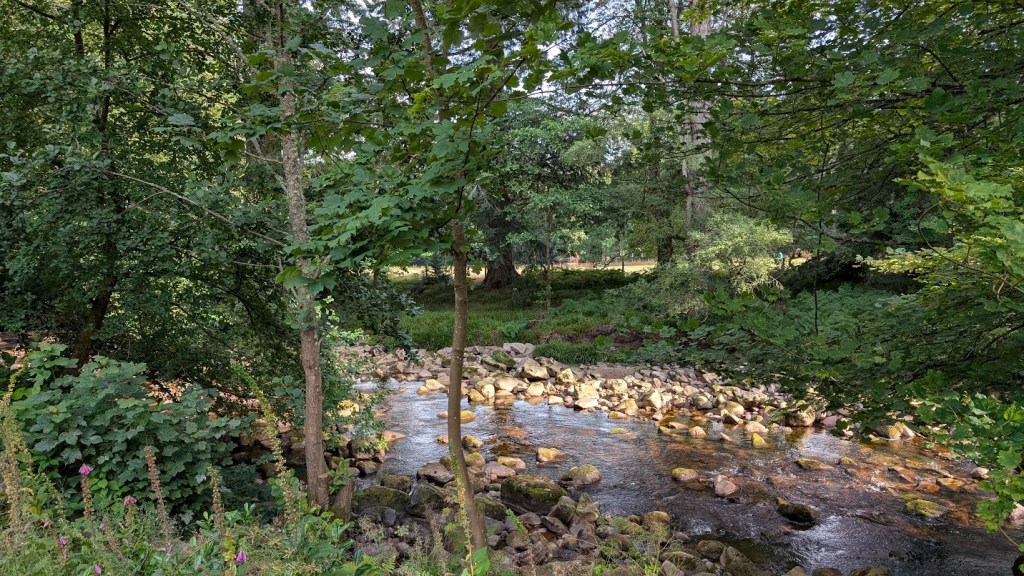 The Water of Dye opposite the cottage.