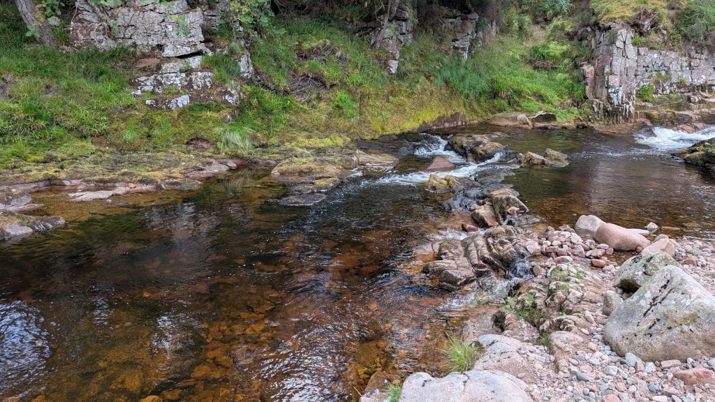 Looking up the river at the small rapids.