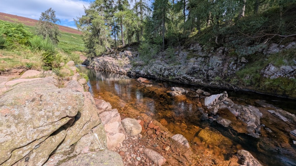 The river with a steep bank on the other side flanked by forests.