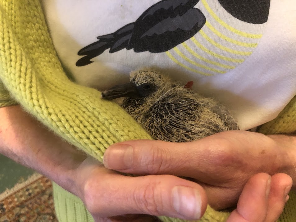 Me holding Mary