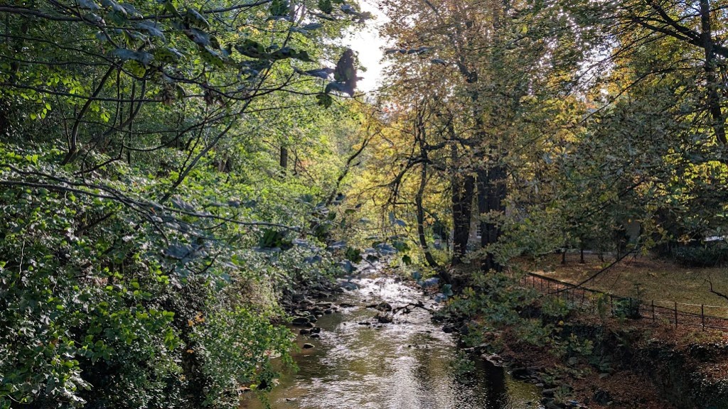 A woodland and stream on the outskirts of Edinburgh