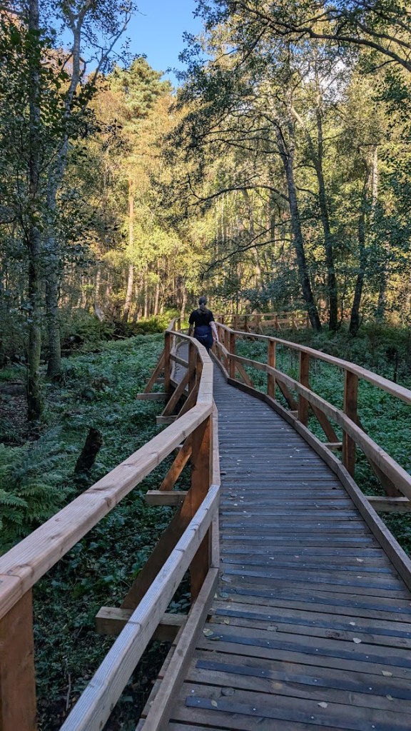 Elizabeth on the new timber walkway