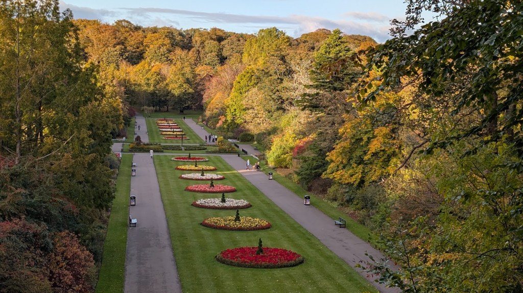 A view of gardens in Seaton Park